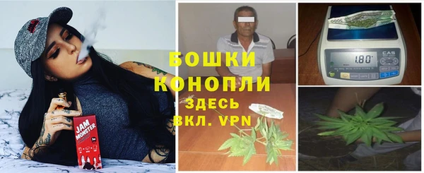 ПСИЛОЦИБИНОВЫЕ ГРИБЫ Алексин