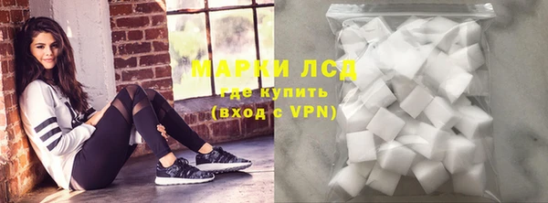 прущие грибы Алзамай