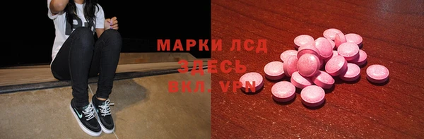 прущие грибы Алзамай