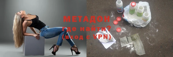 прущие грибы Алзамай