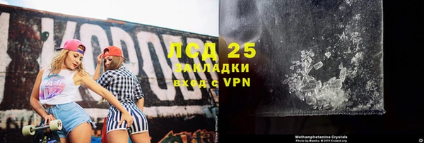 прущие грибы Алзамай